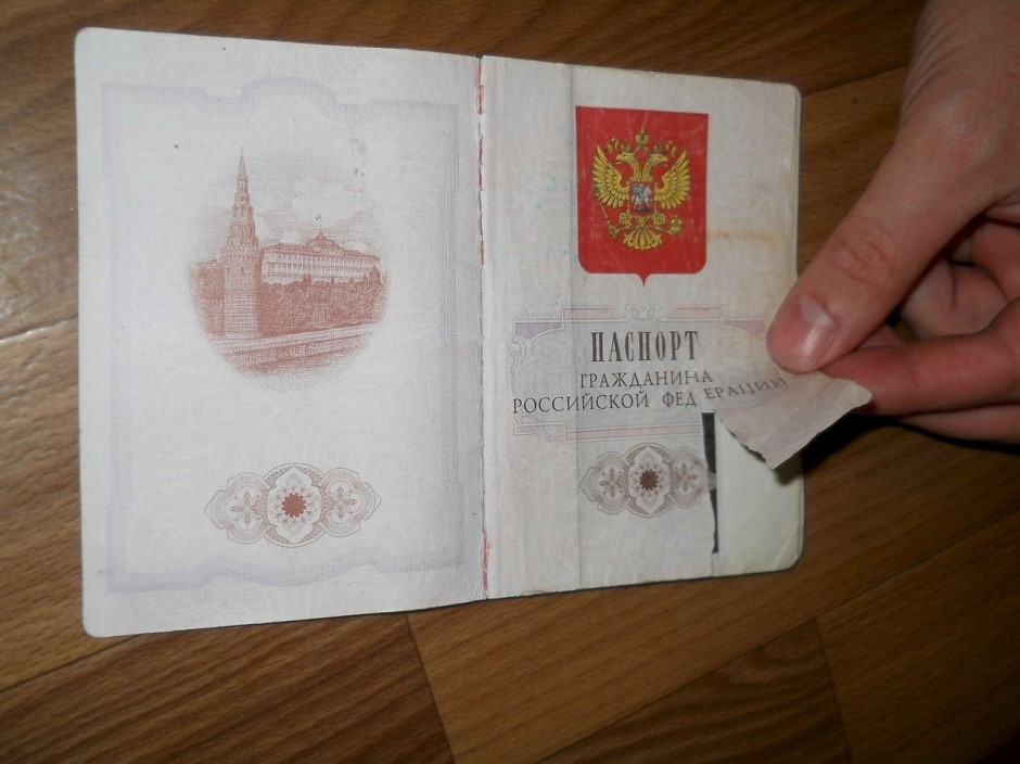 Пример паспорта, который является недействительным